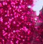 Confetti Pink