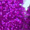 Confetti Purple